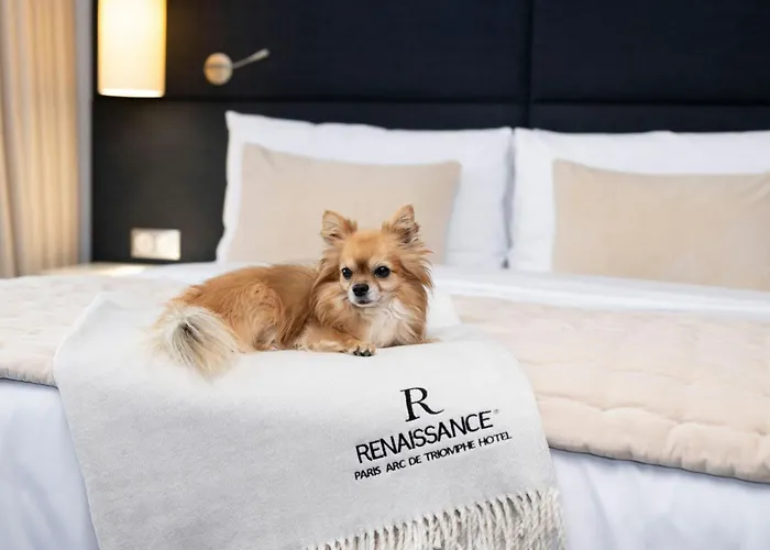 Hotel Renaissance Arc De Triomphe