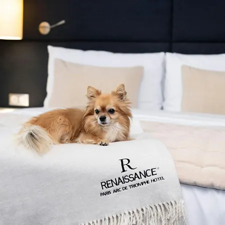 Hotel Renaissance Arc De Triomphe